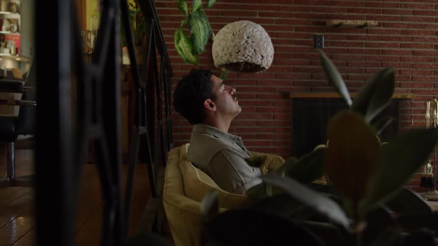 Man leans back on the sofa looking at a hanging lamp in a room decorated with plants