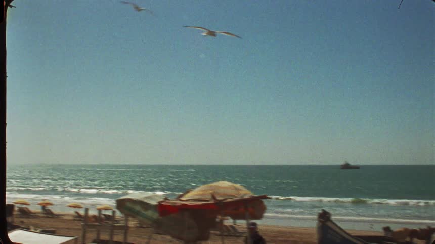 Birds fly over people on the beach