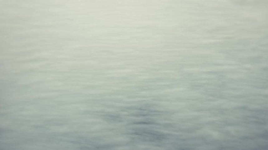 A large fish swimming in the ocean during daytime