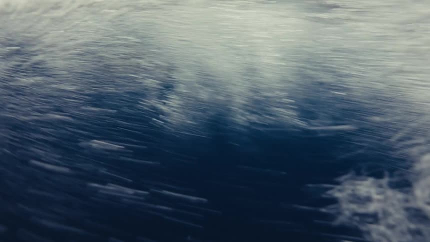 A dolphin swimming in the ocean