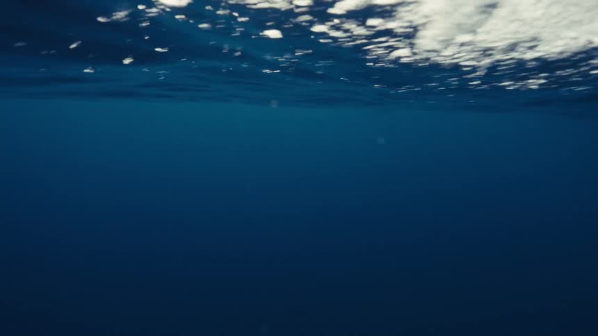 The bright white constantly changing and irregular line at the top of the frame where the breaking wave introduces air bubbles and turbulence into the water
