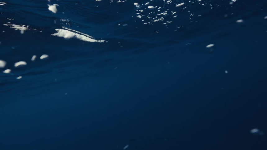 Ocean surface seen from underwater with filtered light