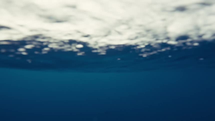 The chaotic transient and bright white boundary at the top of the frame where the wave is violently breaking and creating a curtain of foam and bubbles