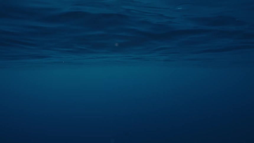 Underwater in a flowing sea during daytime
