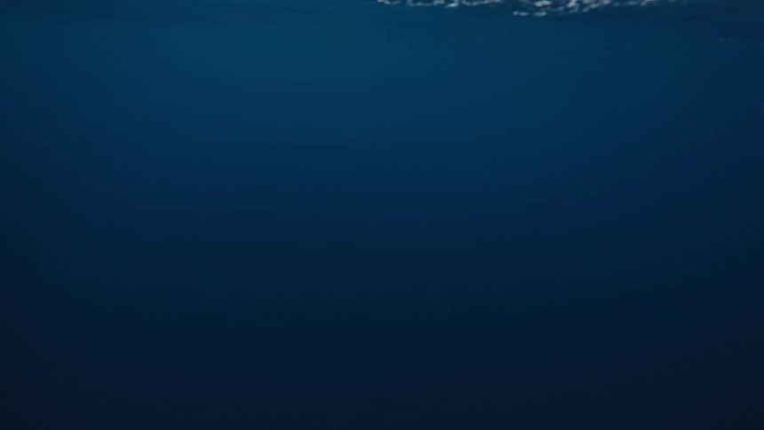 Underwater in a flowing sea during daytime