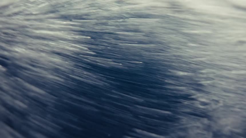 The dolphin is swimming and diving up and down