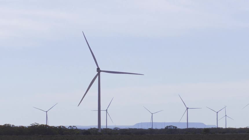 A wind farm with large turbines rises above trees and hills under a bright sky