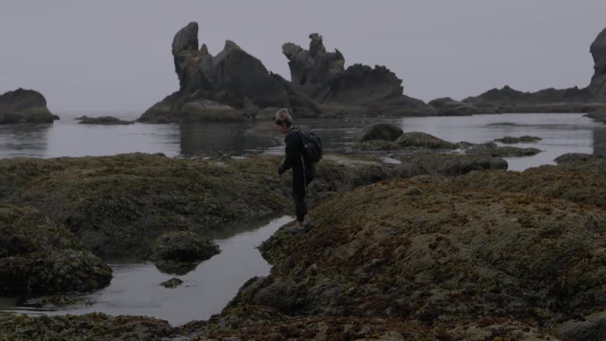 A person climbs over the rocks on the shore