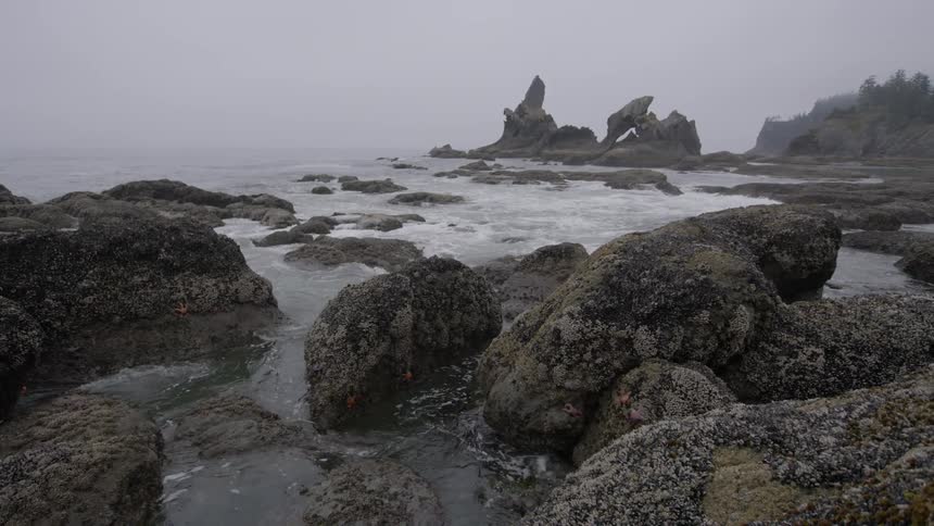 Ocean water crashing against rocks on shore on foggy day