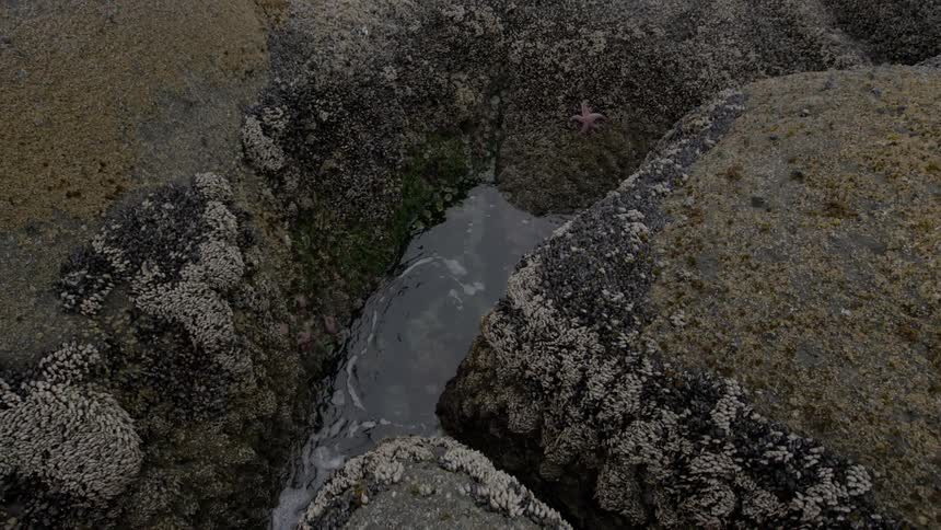 Water foams and ripples among the rocks