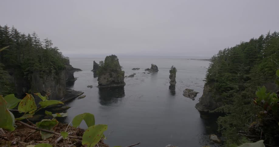 A calm lake on a cloudy day
