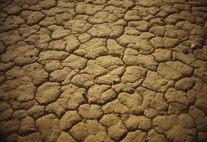A sunlit expanse of cracked dry earth forms a mosaic pattern