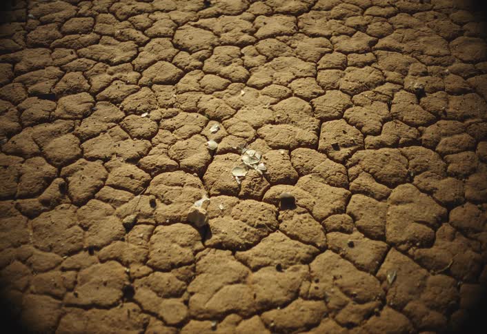 This is a closeup groundlevel shot of dry cracked earth showing a pattern of droughtinduced polygon shapesin the center there is a small patch of lighter material possibly a piece of crushed shell or bone embedded in the sunbaked soil
