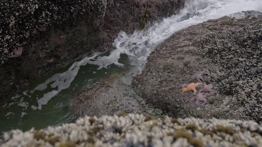Water splashes around by the rocks