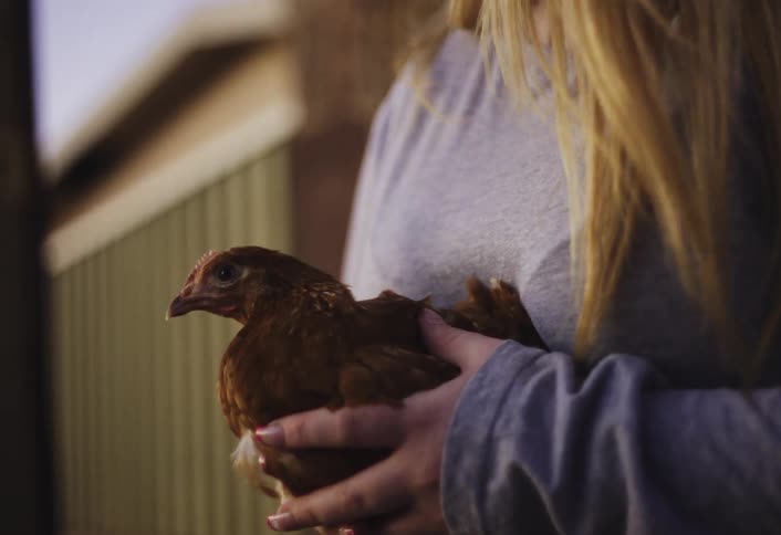 A woman with blonde hair gently holds a small brown chicken in her hands and the chicken calmly looks around its environment