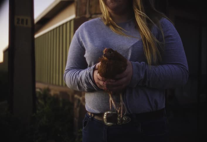 Person holds a chicken in the yard at sunset