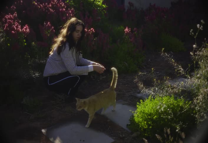 A young woman wearing a striped shirt and dark pants crouches down to pet an orange cat next to a large bush of pink flowers and a stepping stone path in the morning sunlight