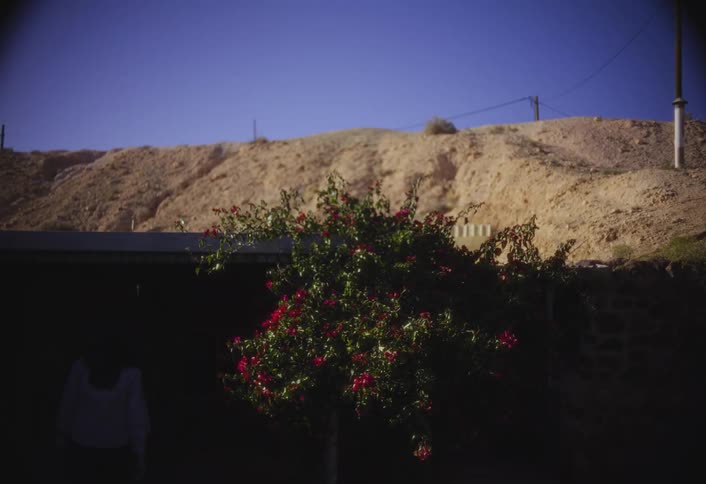 A woman walks past a flowering shrub with red blooms beneath a sunlit desert hill and clear blue sky