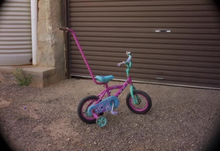The dog runs by the bicycle