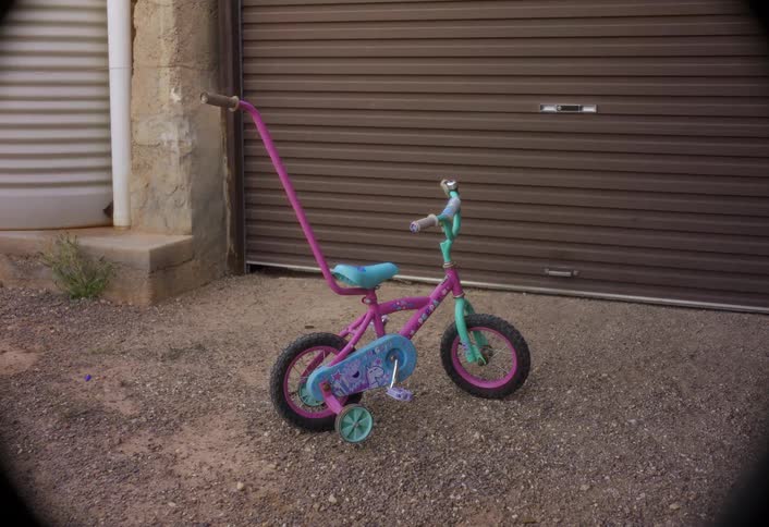 Dog jumping beside a colorful childrens bicycle in a yard