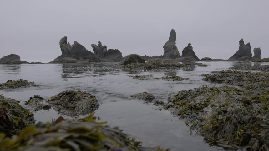Ocean water flowing through mossy rocks on foggy day
