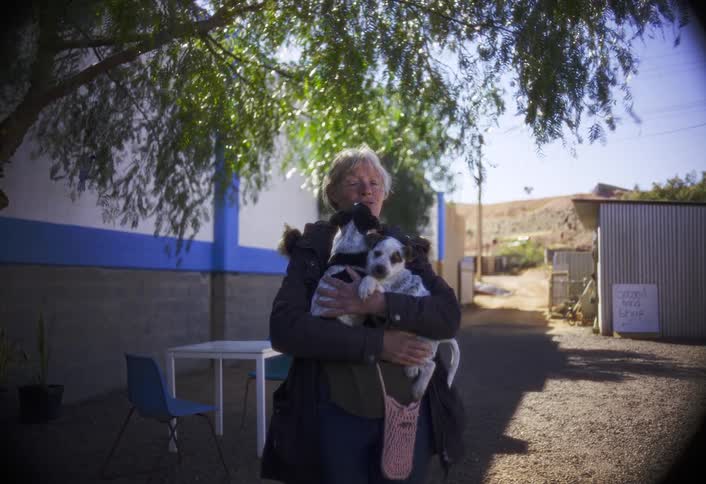 A woman holds two spotted puppies under a leafy tree beside an old building