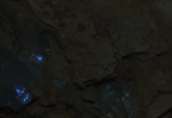 Closeup of an iridescent opal glowing within a rough earth toned rock