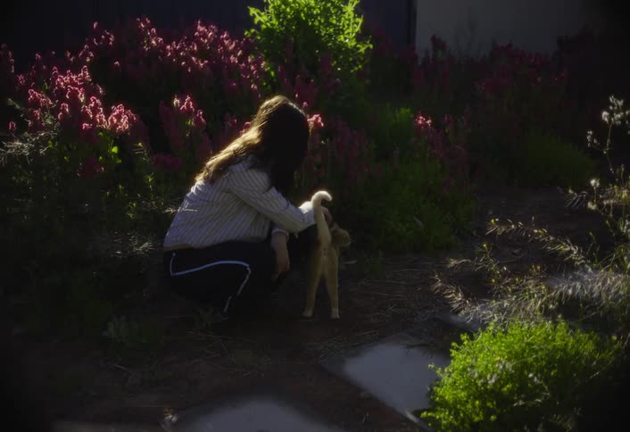 A woman gently pets a cat in the outdoor setting among colorful flowers and greenery