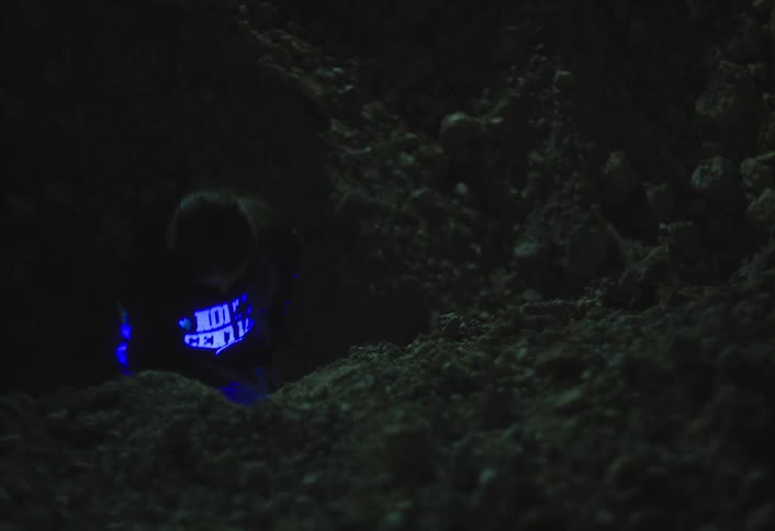 A young man wearing a black hoodie digs into the soil at night holding a torchlight that reflects the printed words on her shirt