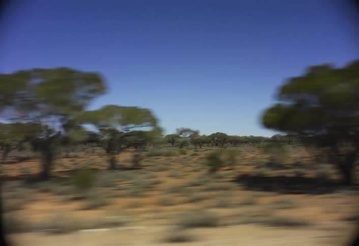 Arid landscape with blurred trees seen in motion under a blue sky