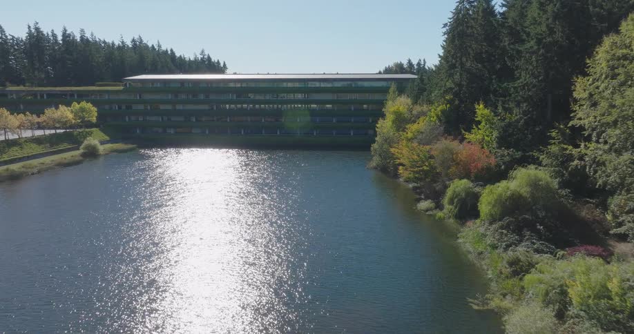 Curving around a stand of trees along a shimmering lake towards an office building in a beautiful corporate campus