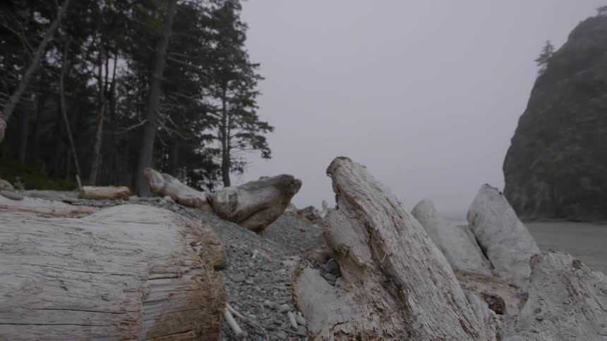 Heavy fog is on this shore line