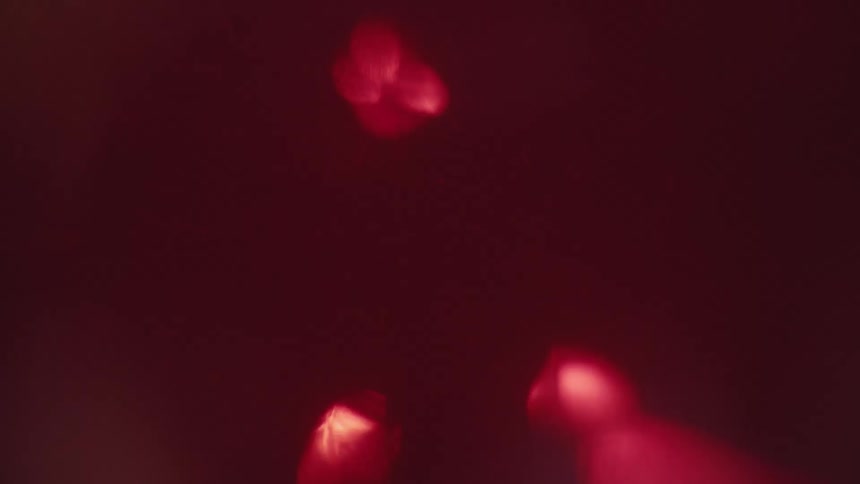Diamonds float down through warm red light and bokeh across a dark deep crimson background creating a soft blurry abstract atmosphere