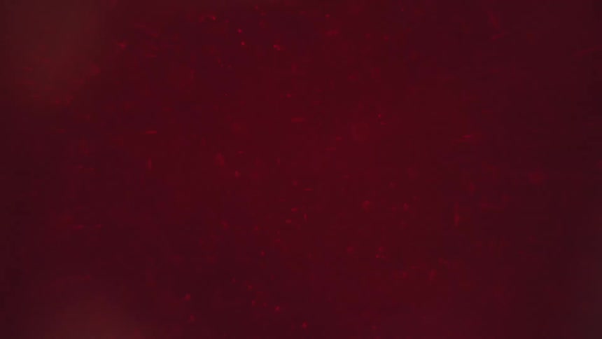 Particles of various sizes and shapes swirl and float through a pink fluid