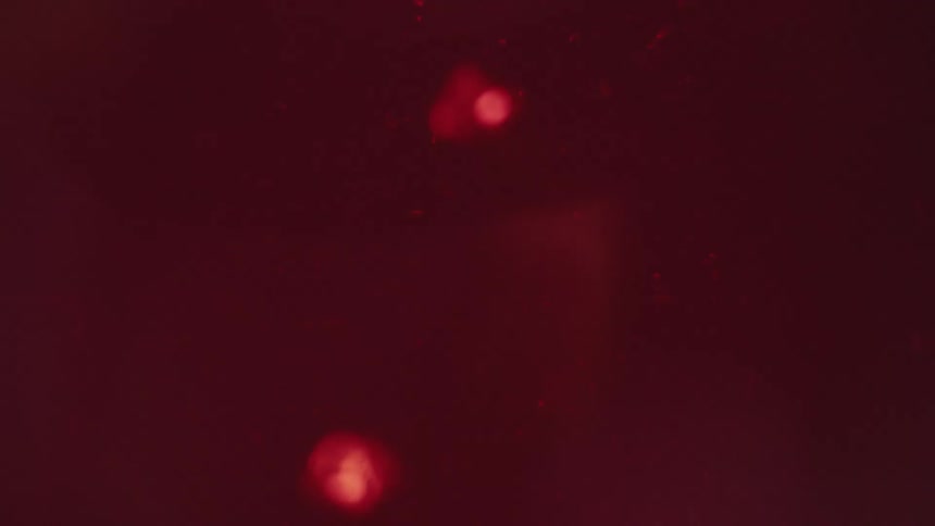 The video is an abstract shot with a deep redmaroon backgroundmultiple small bright irregularly shaped specks or objects are seen floating or falling downward through the frame creating a dynamic submerged or particulate effect