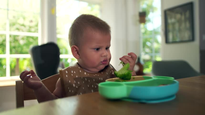 The video is a brightly lit medium shot of a toddler sitting at a wooden table in a high chair wearing a spotted bibthe child is intently holding a piece of broccoli and looking down at the food in a colorful divided feeding bowl