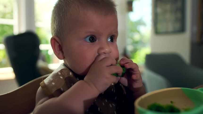 A baby sits in a high chair eating a piece of broccoli in a sunlit home