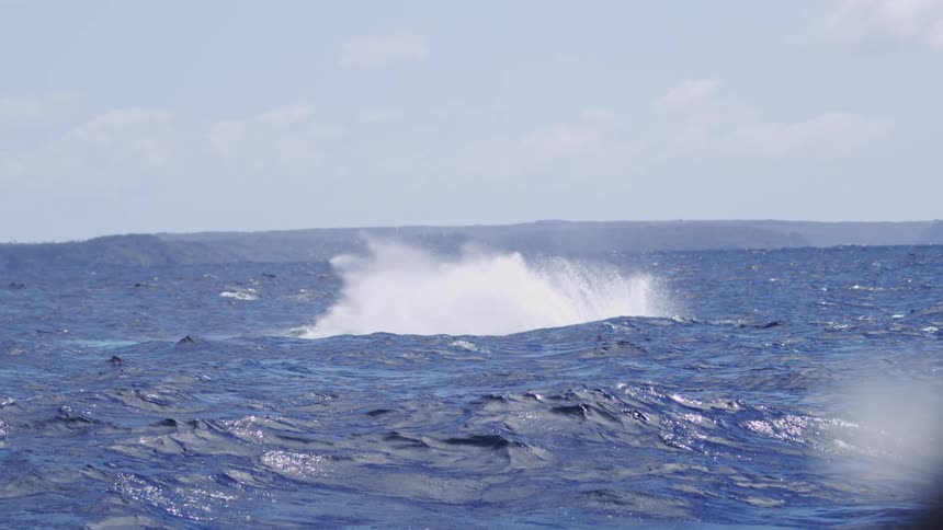 A whale breaching the water in the ocean
