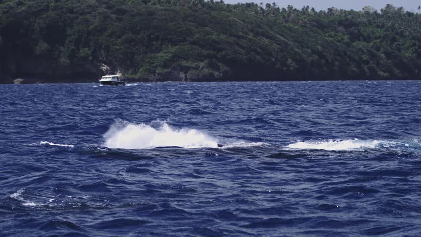 A whale flaps its tail in the ocean creating splashes and waves with the shoreline in the background