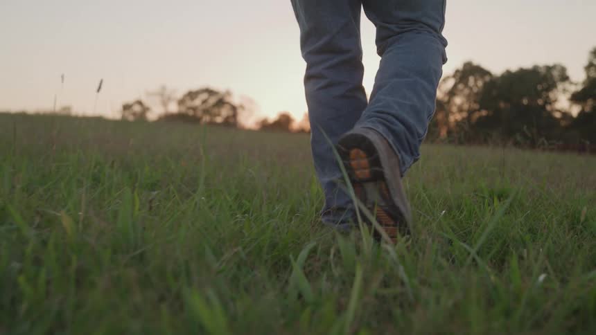 A man with a cowboy hat is walking through a grass field