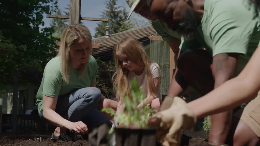 A family is digging holes and planting plants in the yard