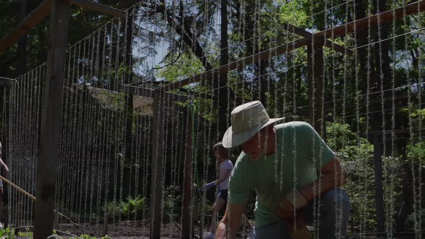 Father and daughters working together in an outdoor garden during daytime