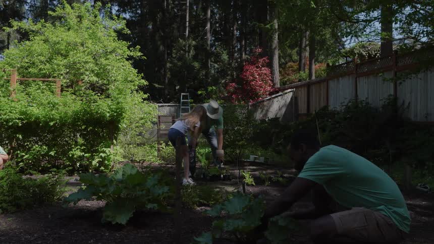 Three people are actively engaged in gardening tasks on a sunny day in a backyard or community garden area bordered by a wooden fence and tall trees with one man kneeling in the foreground and a man and a young girl bending down working on planting