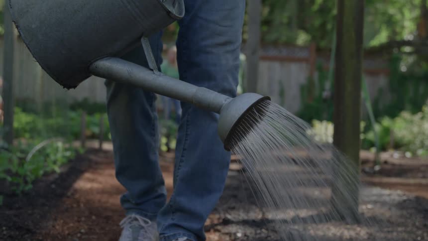 Man walking with a watering can as he waters his garden