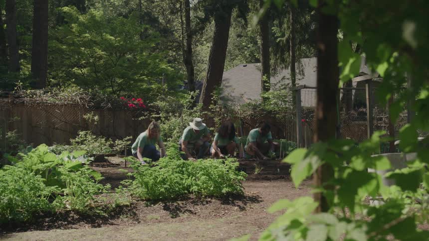 A group of people work together in a garden surrounded by trees on a sunny day