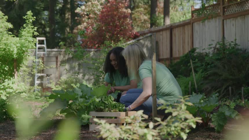 Two women working in a garden together