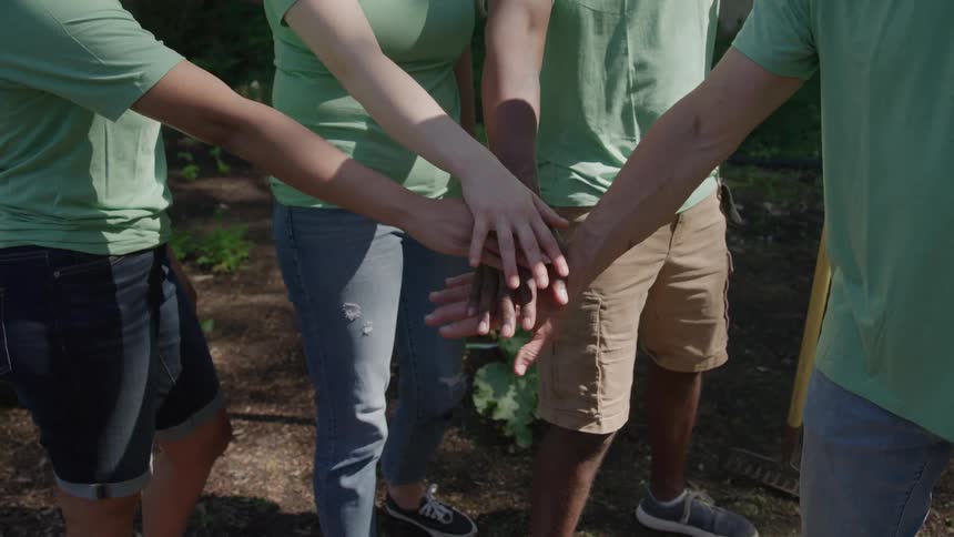 A group of landscapers raising their hands