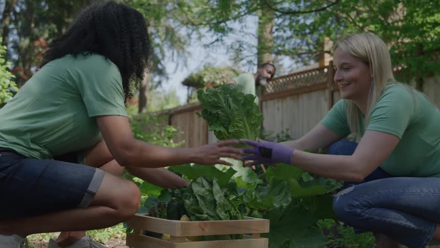 A group of people working on a garden