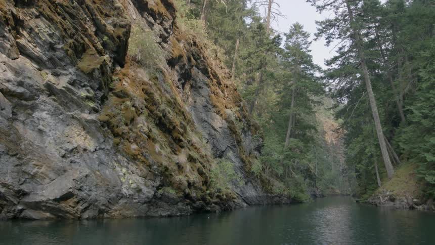 A river surrounded by trees and a large rocky cliff