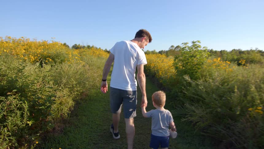 Man walks with his toddler son on a path through a field of wild flowers